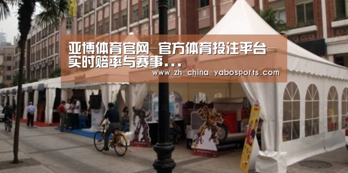 案例标题九