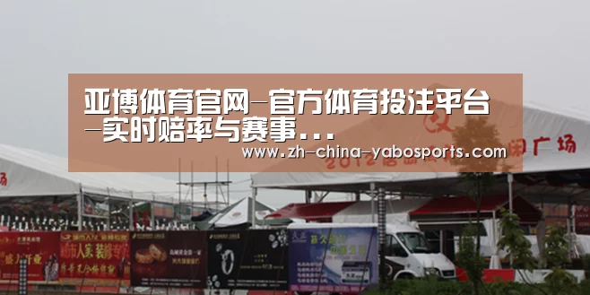 案例标题十
