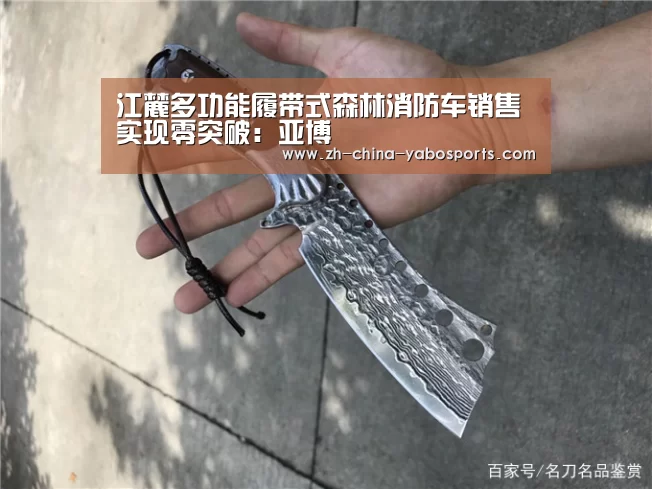 江麓多功能履带式森林消防车销售实现零突破:亚博