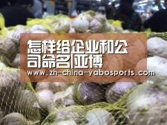 怎样给企业和公司命名|亚博